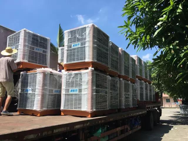 工廠車間快速降溫方法，你知道嗎？